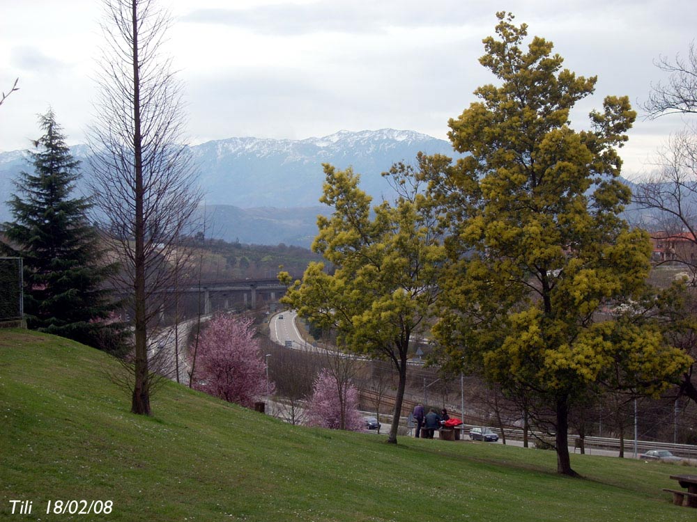 Foto de Oviedo (Asturias), España