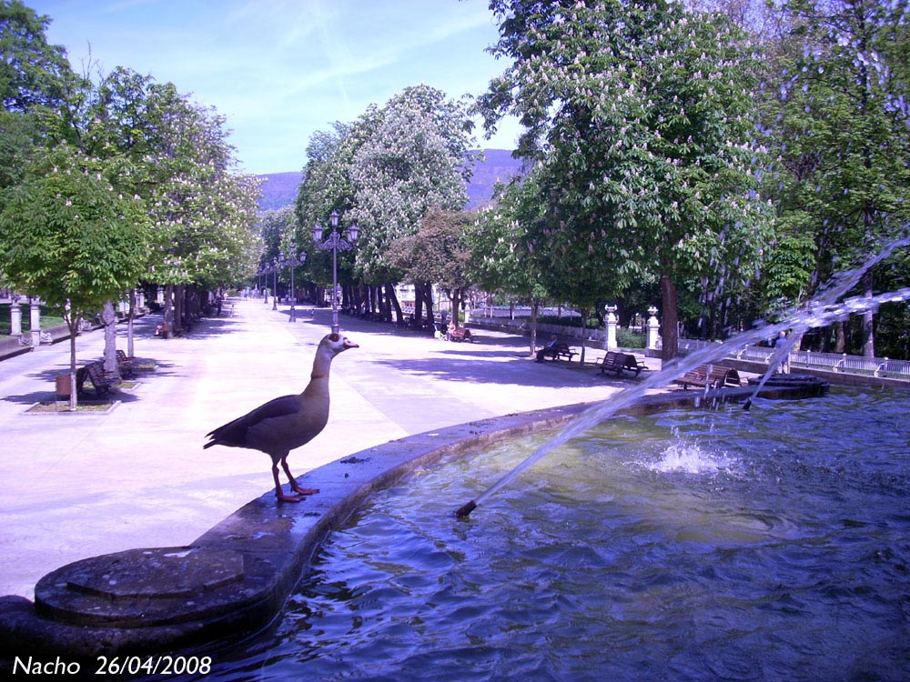 Foto de Oviedo (Asturias), España
