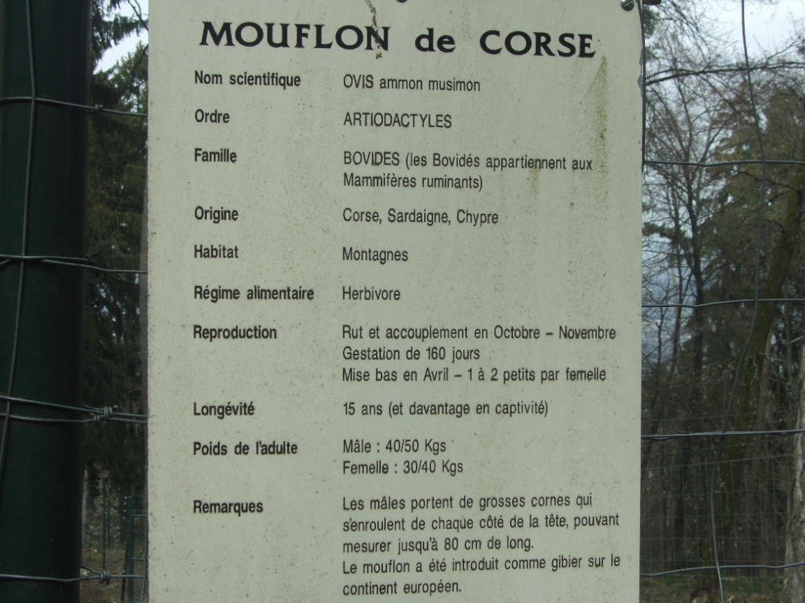 Foto de Annecy, Francia