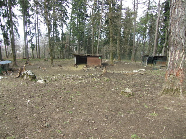 Foto de Annecy, Francia