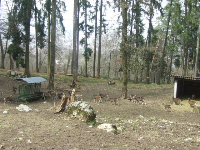 Foto de Annecy, Francia