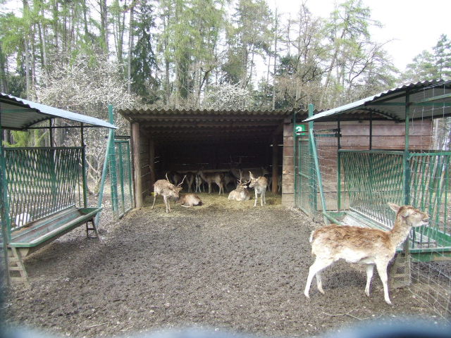 Foto de Annecy, Francia