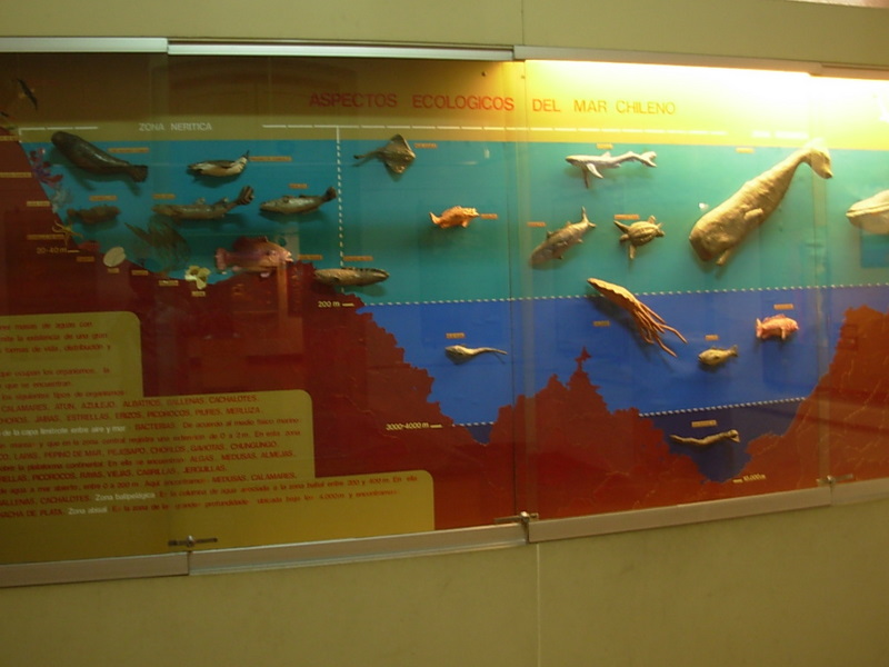 Foto de Valparaiso, Chile