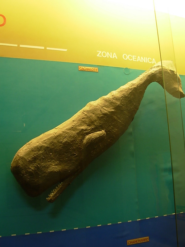 Foto de Valparaiso, Chile