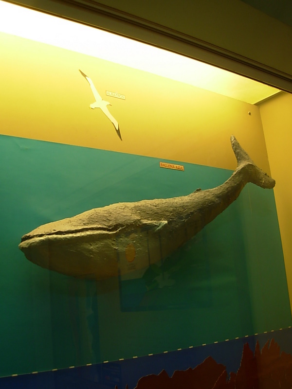 Foto de Valparaiso, Chile