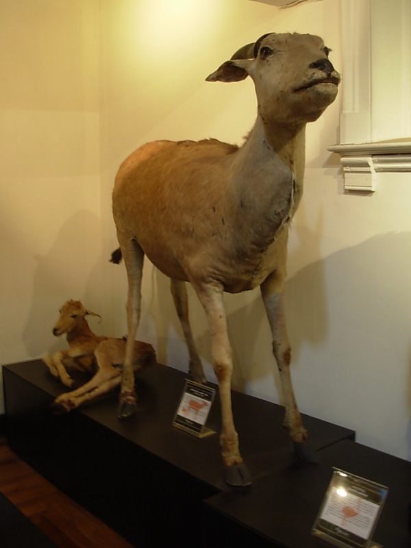 Foto de Valparaiso, Chile