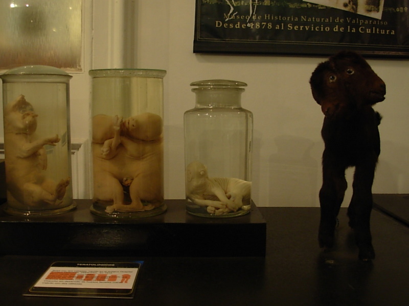 Foto de Valparaiso, Chile