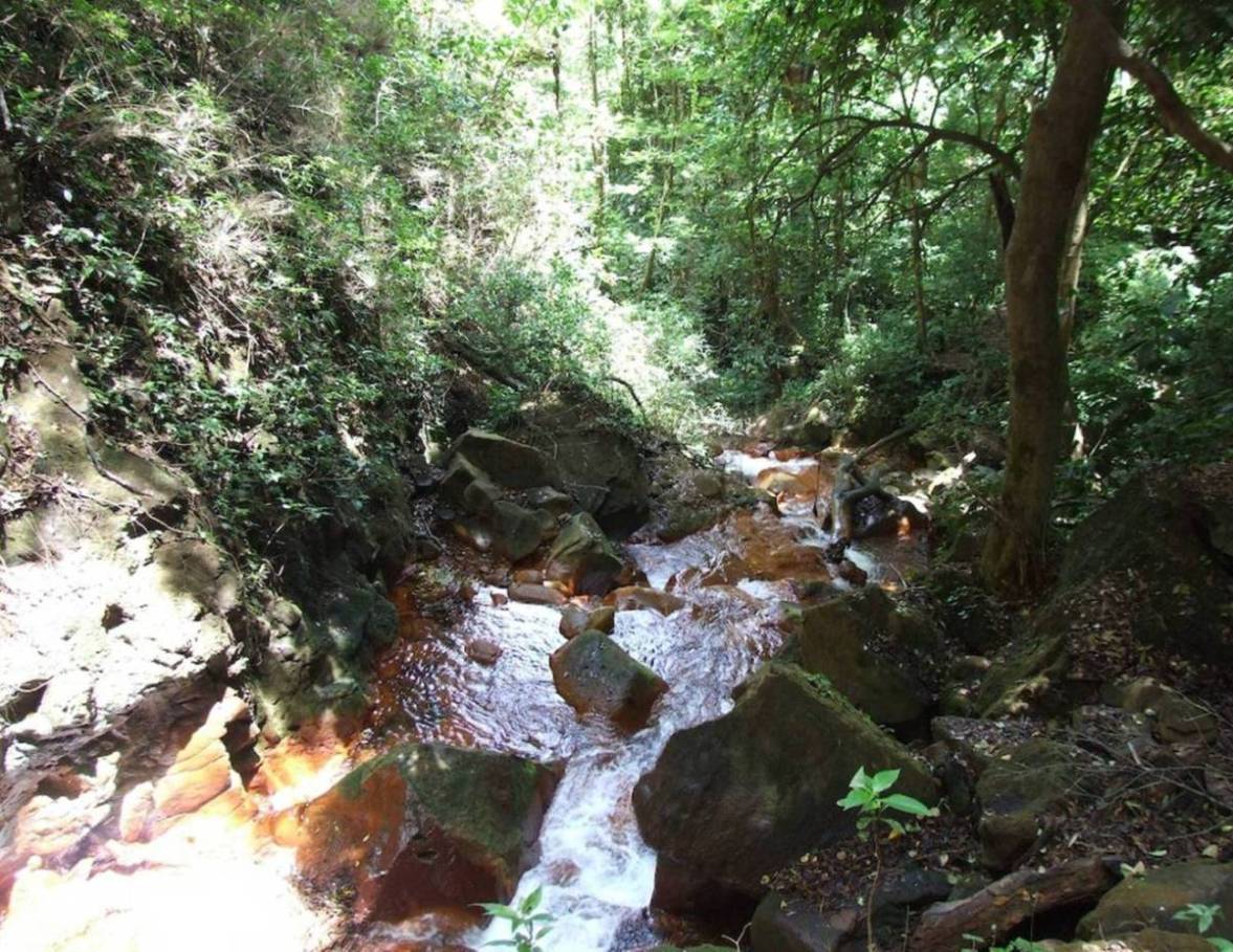 Foto de Guanacaste, Costa Rica