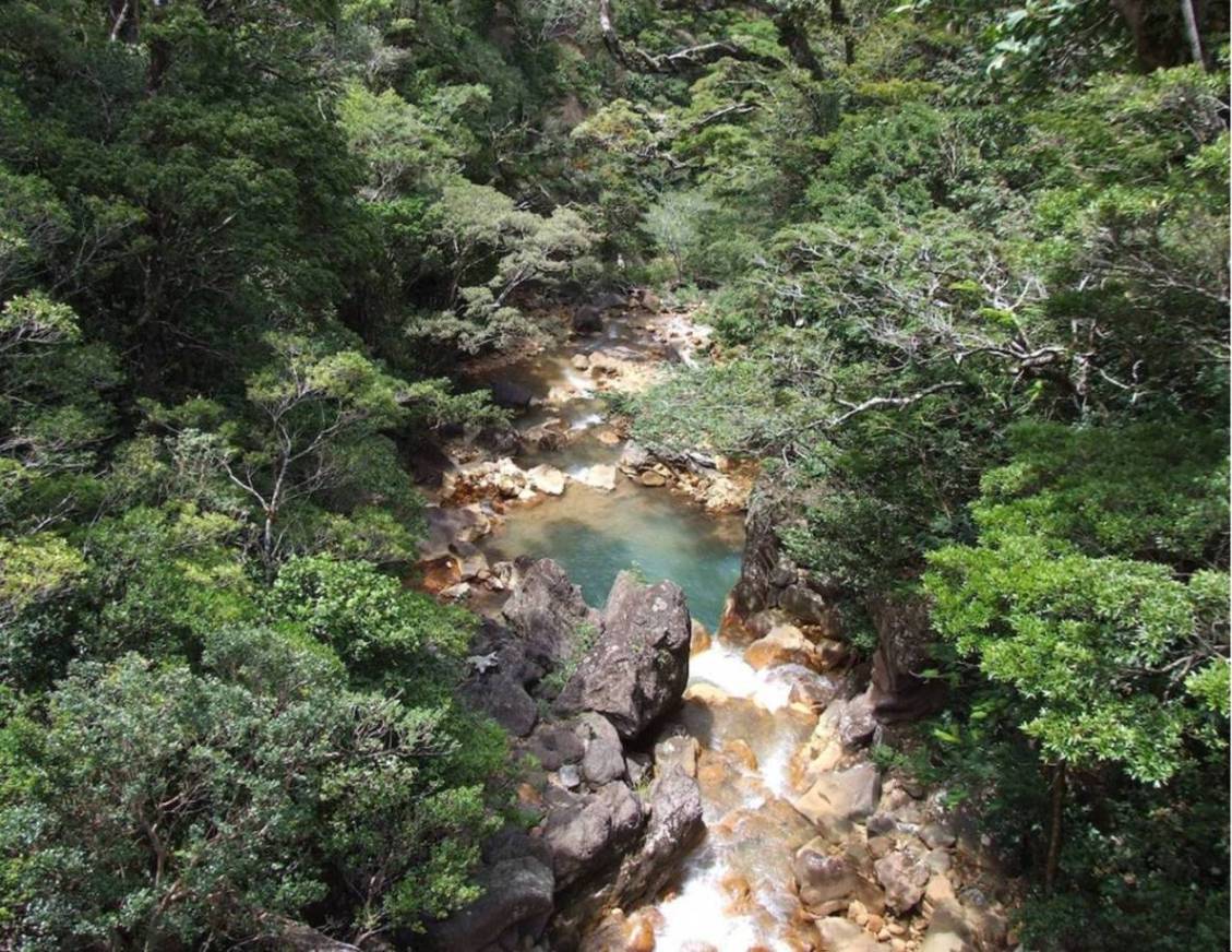 Foto de Guanacaste, Costa Rica