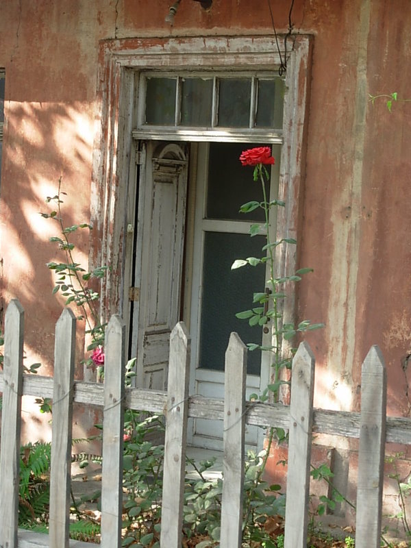 Foto de Panquehue, Chile