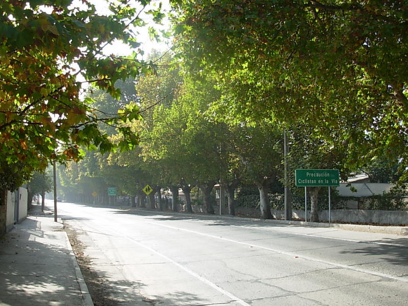 Foto de Panquehue, Chile