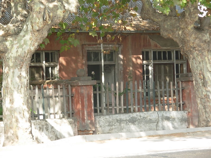 Foto de Panquehue, Chile