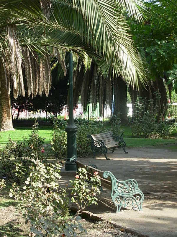 Foto de Panquehue, Chile