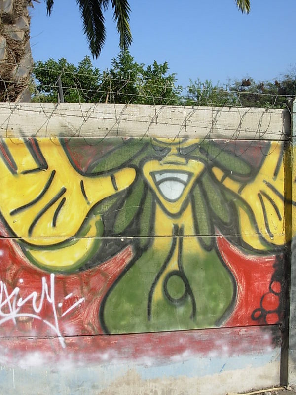 Foto de Panquehue, Chile