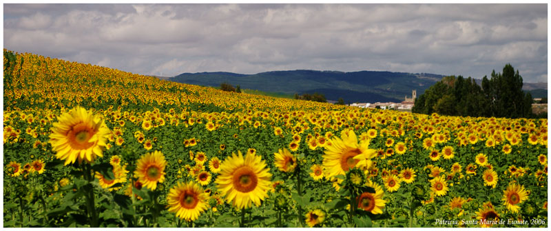 Foto de Eunate (Navarra), España