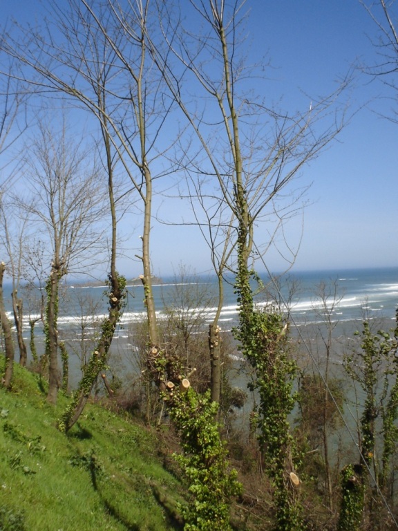 Foto de Mundaka (Vizcaya), España
