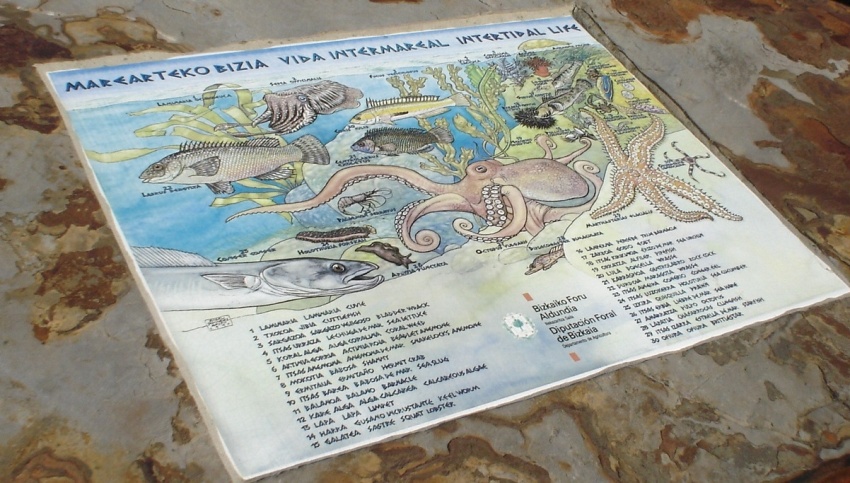 Foto de San Juan de Gaztelugatxe (Vizcaya), España