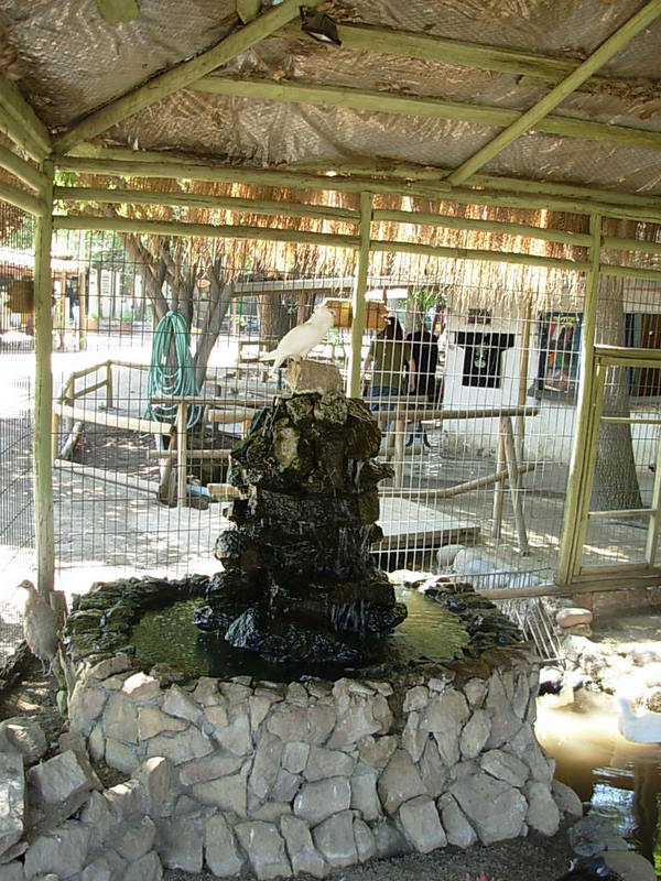 Foto de Santiago, Chile