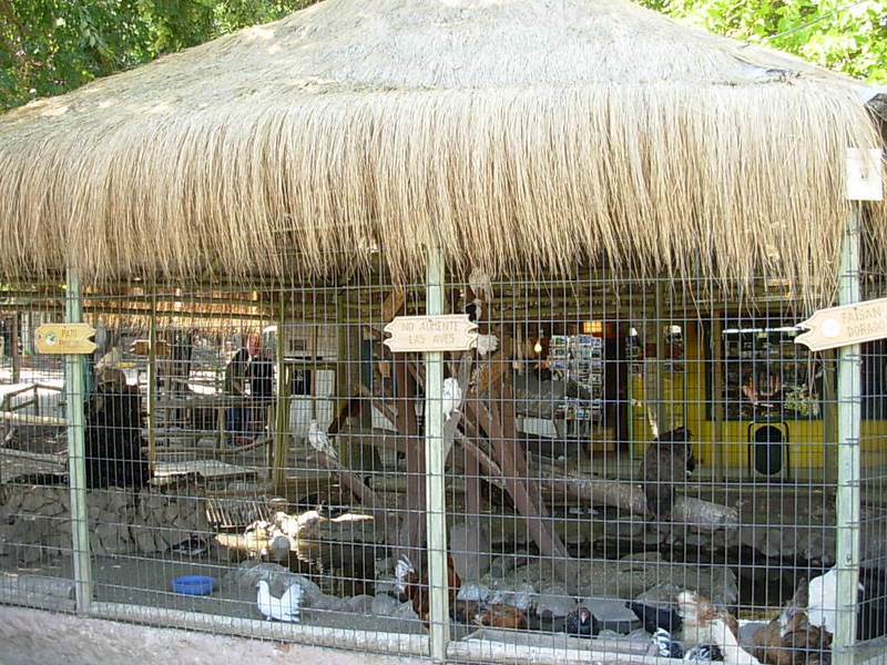 Foto de Santiago, Chile