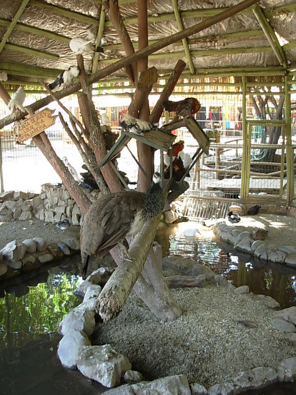 Foto de Santiago, Chile