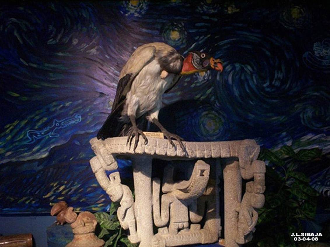 Foto de San José, Costa Rica