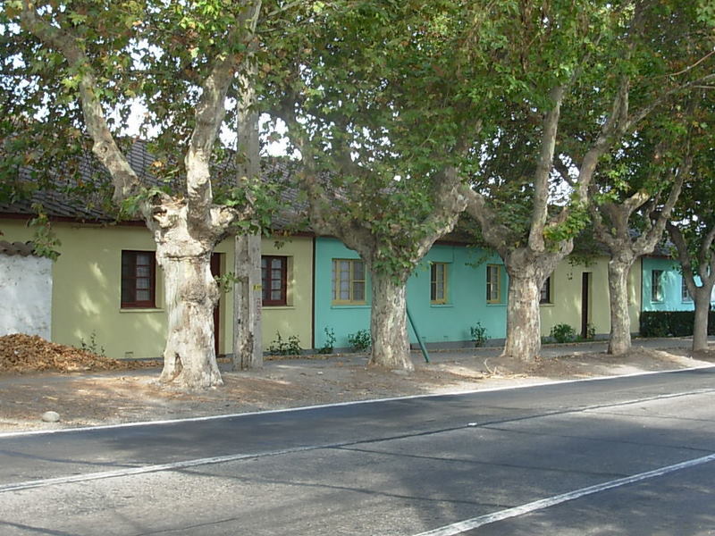 Foto de Panquehue, Chile