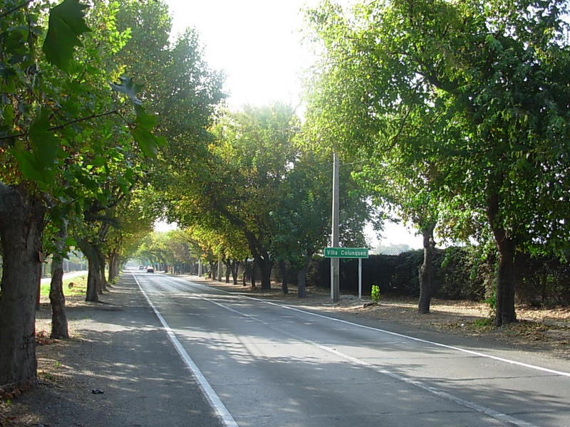 Foto de Panquehue, Chile