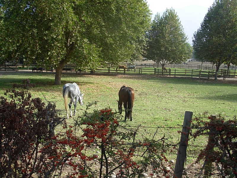 Foto de Panquehue, Chile