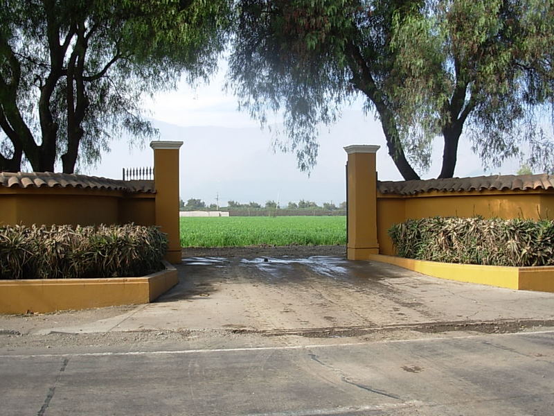 Foto de Panquehue, Chile