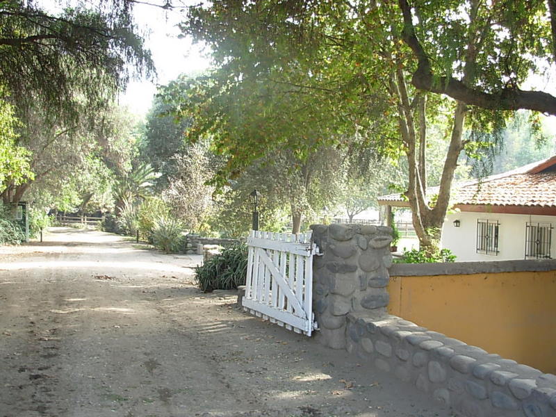 Foto de Panquehue, Chile