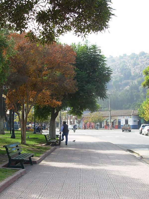 Foto de Catemu, Chile