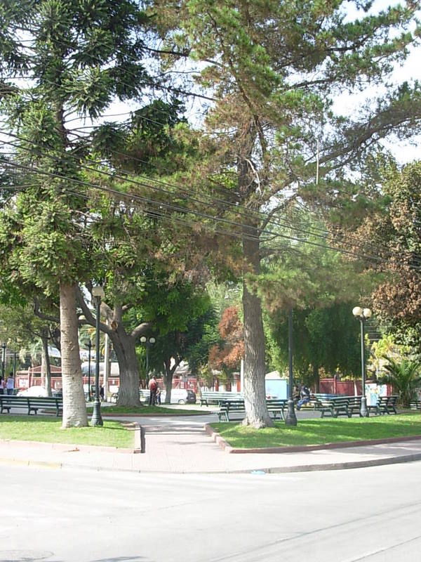 Foto de Catemu, Chile