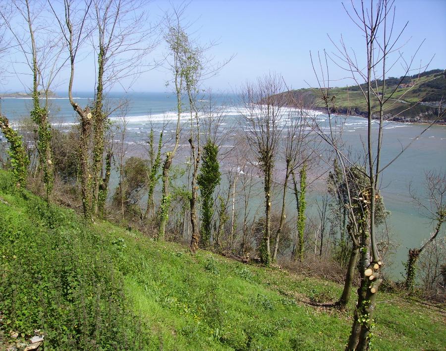 Foto de Mundaka (Vizcaya), España