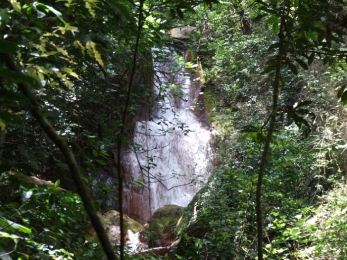 Foto de Guanacaste, Costa Rica