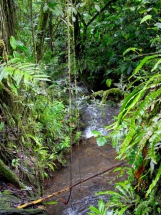 Foto de Cartago, Costa Rica