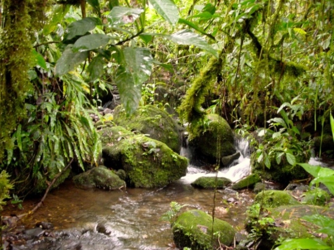 Foto de Cartago, Costa Rica