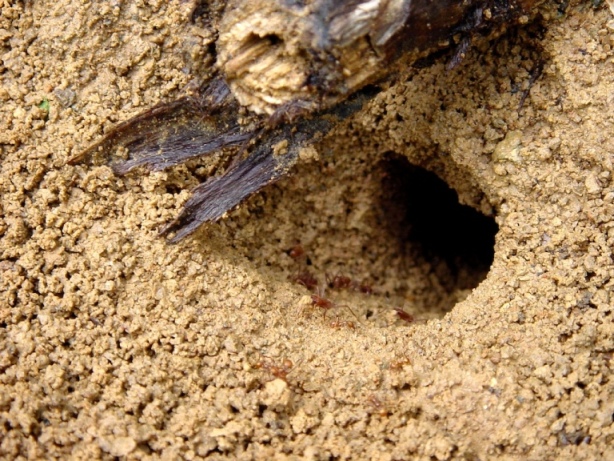 Foto de Cartago, Costa Rica