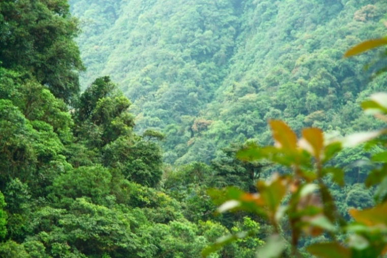 Foto de Heredia, Costa Rica