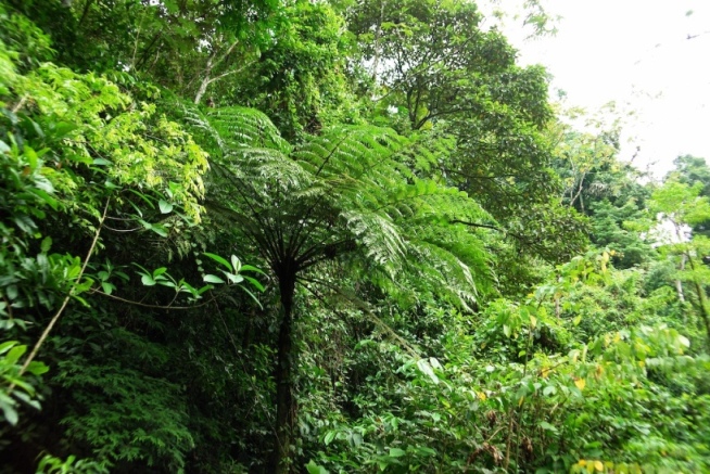 Foto de Heredia, Costa Rica