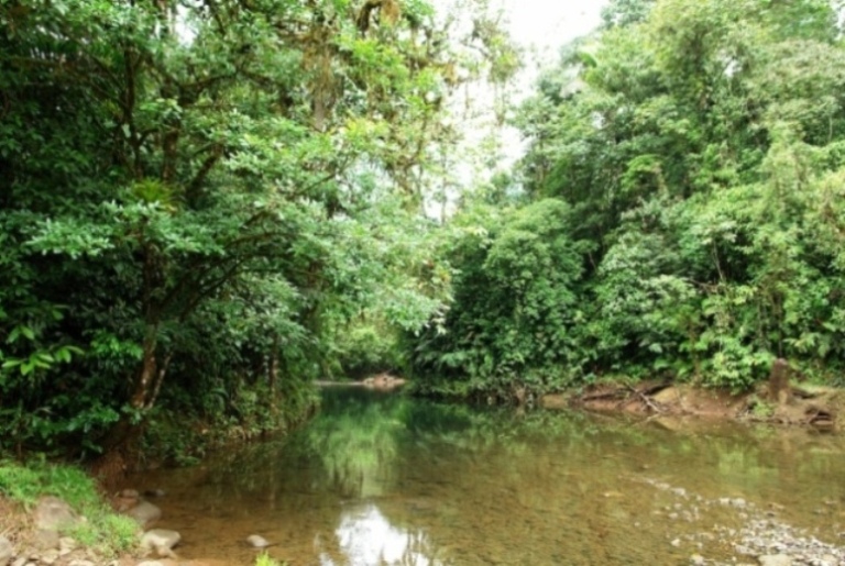 Foto de Heredia, Costa Rica