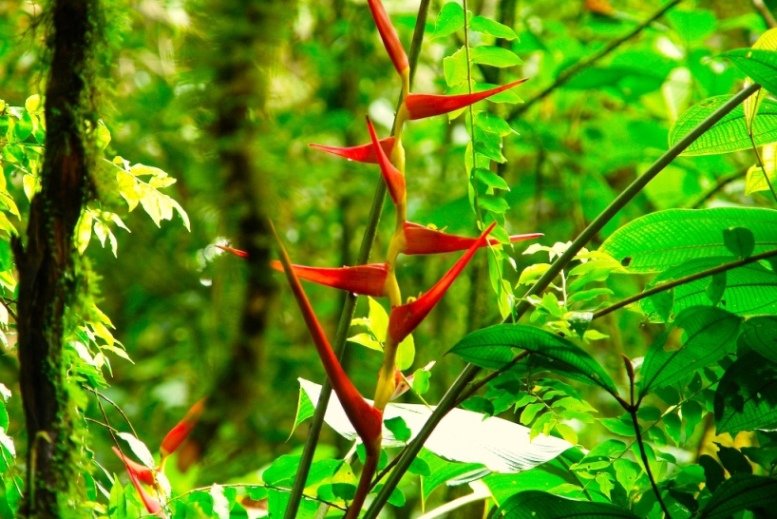 Foto de Heredia, Costa Rica