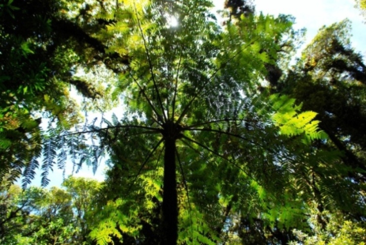 Foto de Heredia, Costa Rica