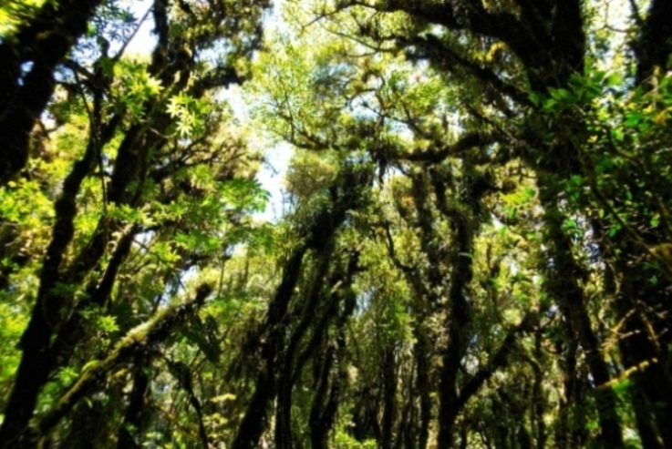 Foto de Heredia, Costa Rica