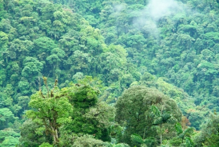 Foto de Heredia, Costa Rica