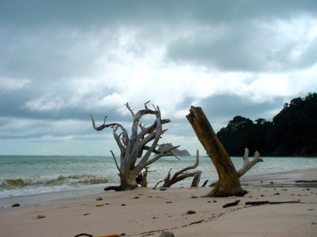 Foto de Nicoya (Puntarenas), Costa Rica