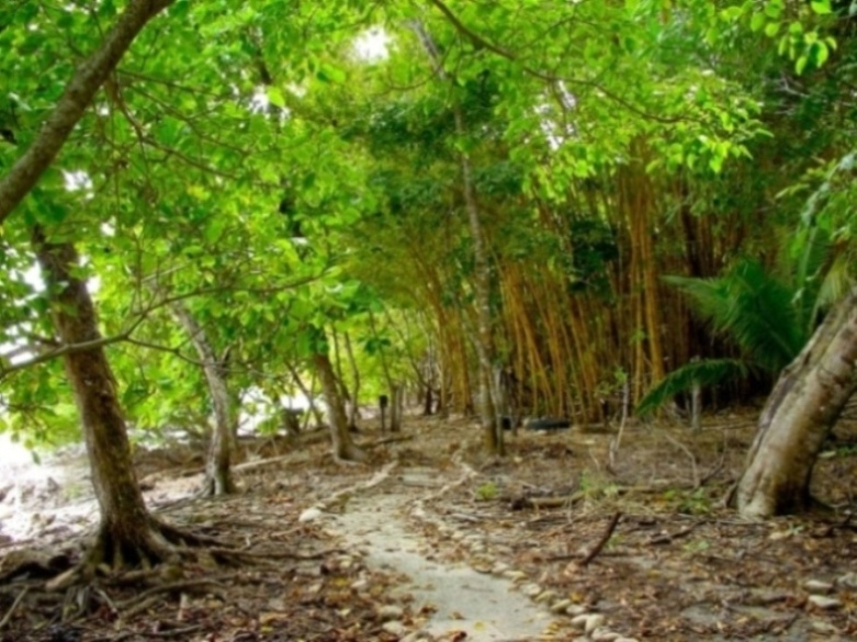 Foto de Nicoya (Puntarenas), Costa Rica