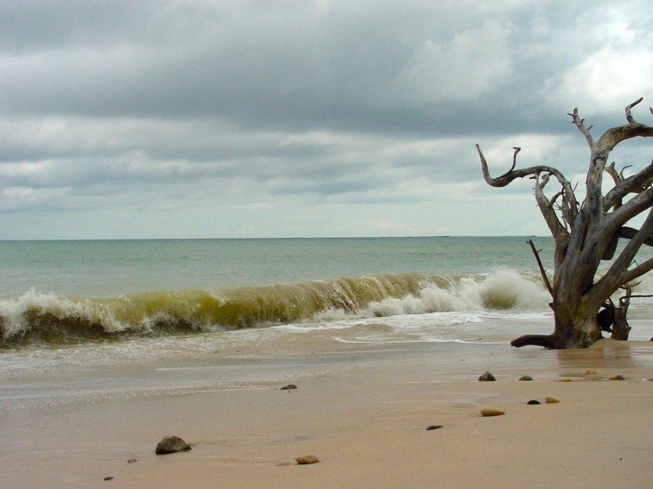 Foto de Nicoya (Puntarenas), Costa Rica