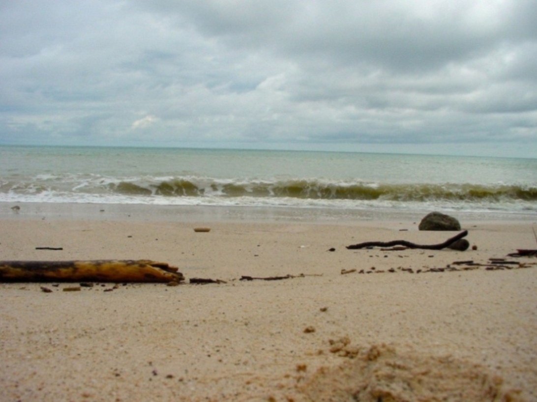 Foto de Nicoya (Puntarenas), Costa Rica