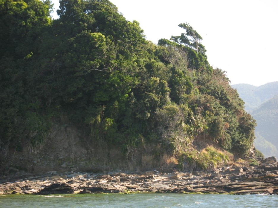 Foto de Valdivia, Chile