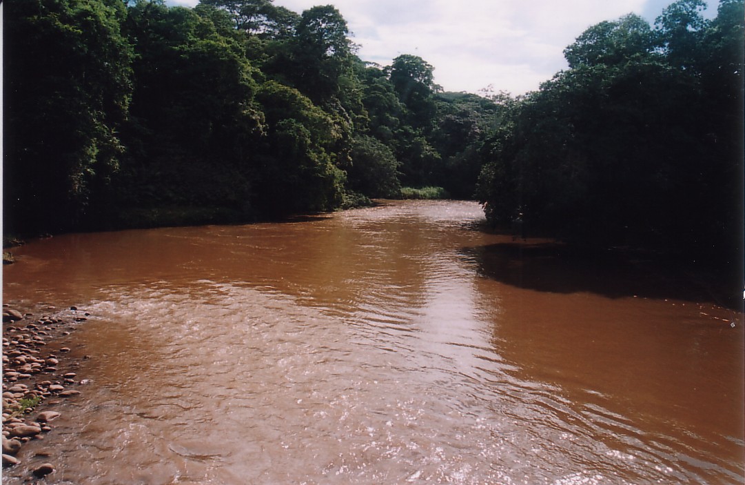 Foto de Sarapiquí, Costa Rica